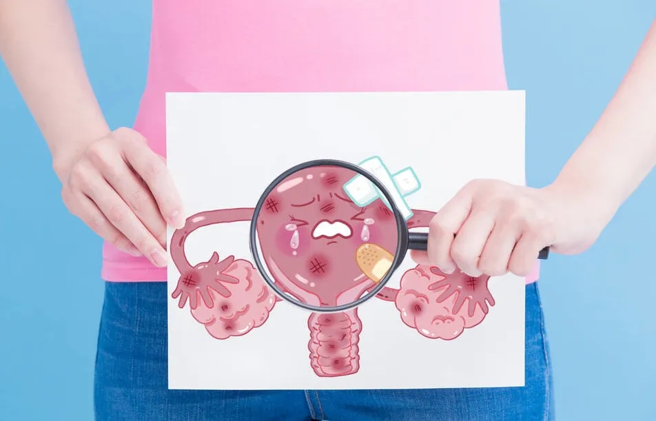 3169864027_10.jpg 3169864027_10.jpg