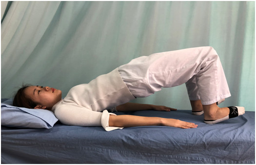 橋式運(yùn)動(dòng)2.png 橋式運(yùn)動(dòng)2.png