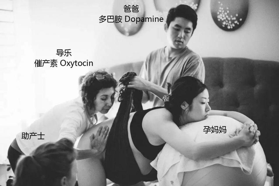 3aff0003729a21a6c7c4_noop.jpg 3aff0003729a21a6c7c4_noop.jpg