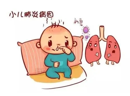 1000.webp.jpg 1000.webp.jpg